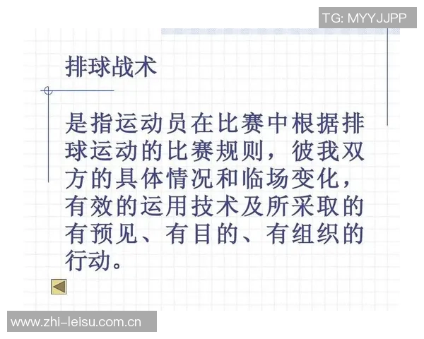 重庆排球队的节奏分析与战术得失探讨